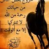 tarig.tiiop