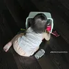 mechippbeoo