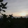 nhi_19.5