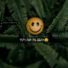 user3585476198207