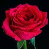 use0127538
