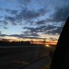 gracie_278