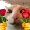 anhyeuemnhiu111