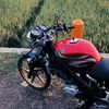 daningangak