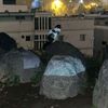 loly_1444