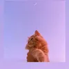 laraevvzh2