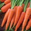 Carrot