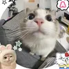 monhduio09876