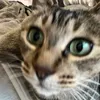 きり
