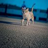 ina_mohamed180