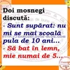 Gardianul Romania
