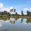 trc.nguyno