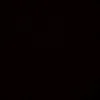 v..____..v