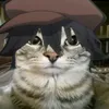 rei._.aline
