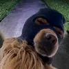kehanhgame28