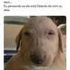 ronivaldo.cezar