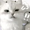 anhsduong10