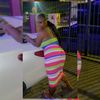 tichy637