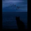 ngaigiaotiep_