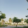 user066103160
