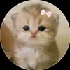 _sleppy1j