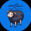osmanmzal