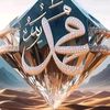 user1542181769630