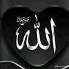 hussainfirst6gmail.com