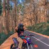 ditawulandary8