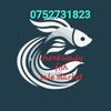 chenkalady.fish.sa