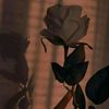 anjum.nahar4