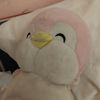 eli_sabe172