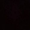 batool2219