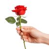 rosse.rosse05