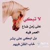 user5848522686063