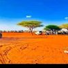 mustaf1114