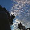vin_ajadah