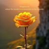 sunshine_smiles26