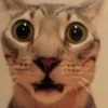 rarzmoon