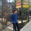Farel