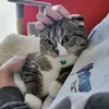 rym_422