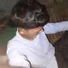 alekfuadi69