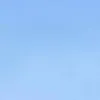 tann_273