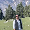 sijad2270