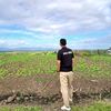 ashar.nutritionist21