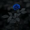 user885508613121