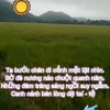 thin.ng8
