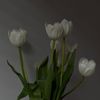 18february23