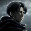 montdr_24