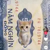 hoang.nguyn3